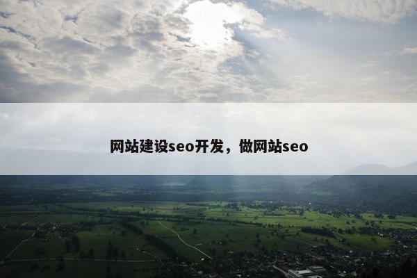 网站建设seo开发,做网站seo