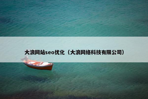 大浪网站seo优化(大浪网络科技有限公司)