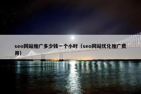 seo网站推广多少钱一个小时(seo网站优化推广费用)