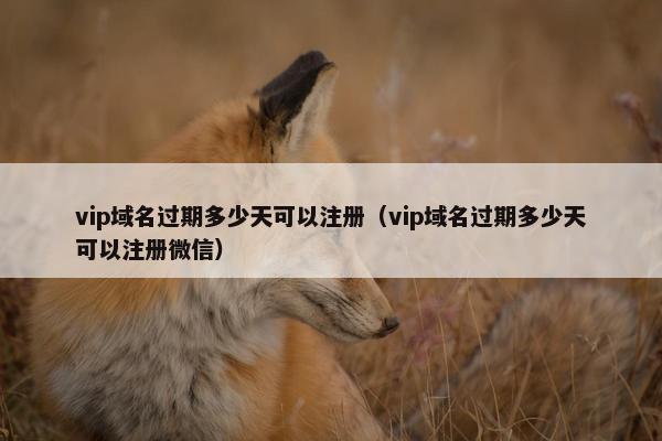 vip域名过期多少天可以注册(vip域名过期多少天可以注册微信)