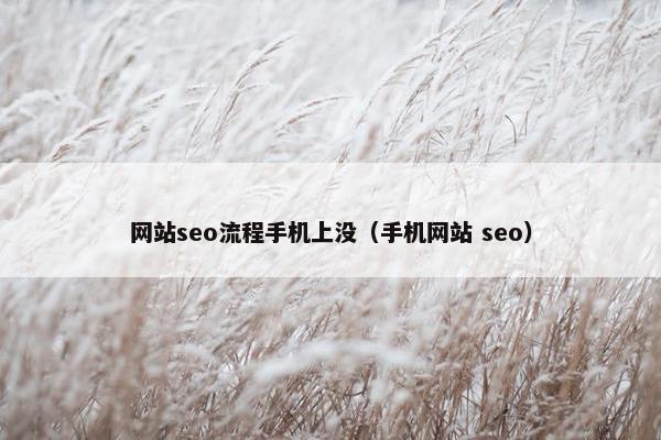 网站seo流程手机上没(手机网站 seo)