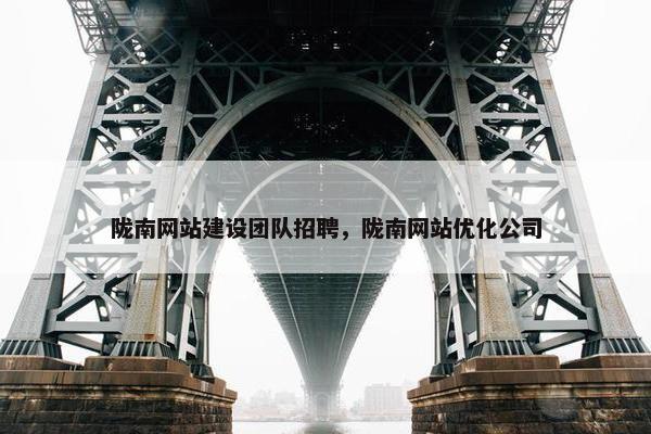 陇南网站建设团队招聘，陇南网站优化公司