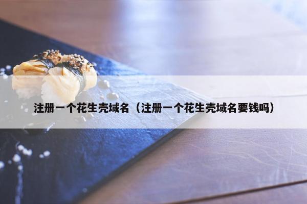 注册一个花生壳域名(注册一个花生壳域名要钱吗)