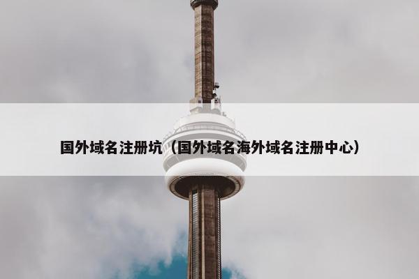 国外域名注册坑(国外域名海外域名注册中心)