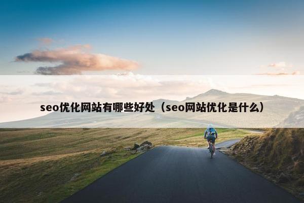 seo优化网站有哪些好处(seo网站优化是什么)