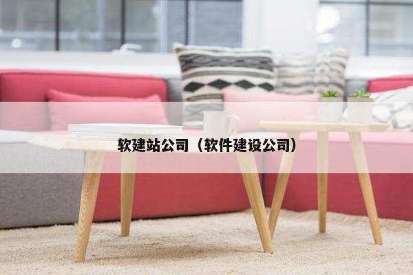 软建站公司(软件建设公司)