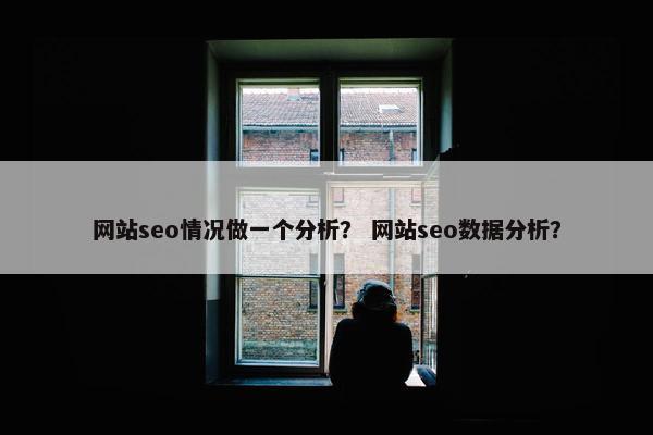 网站seo情况做一个分析? 网站seo数据分析?