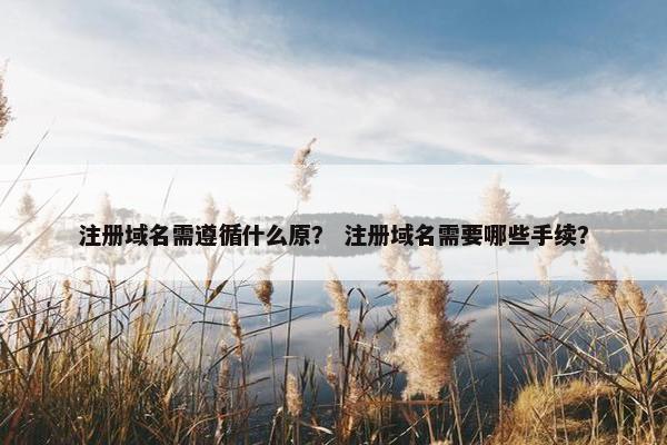 注册域名需遵循什么原？ 注册域名需要哪些手续？