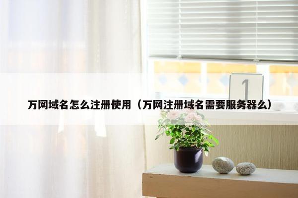 万网域名怎么注册使用（万网注册域名需要服务器么）