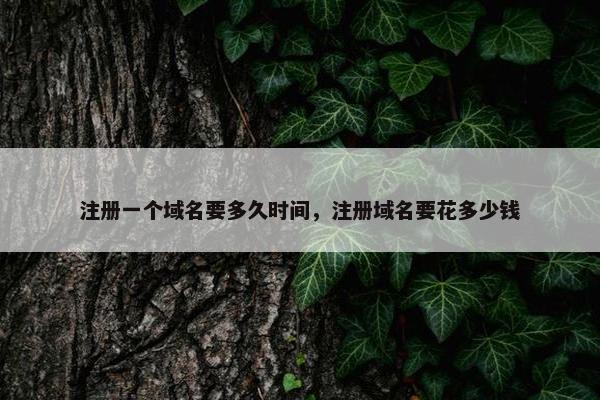 注册一个域名要多久时间，注册域名要花多少钱