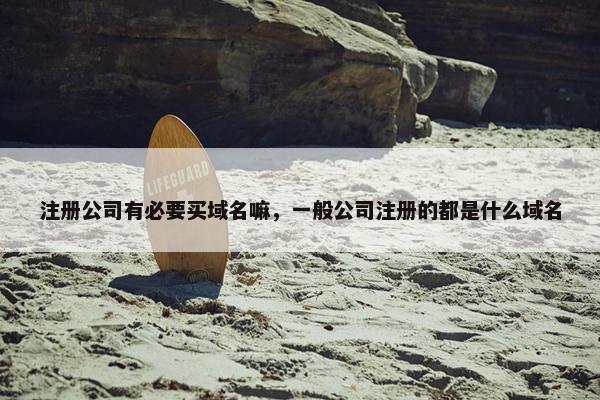 注册公司有必要买域名嘛，一般公司注册的都是什么域名