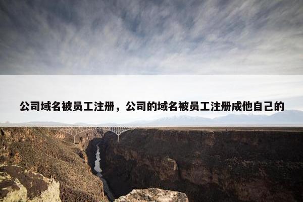 公司域名被员工注册，公司的域名被员工注册成他自己的