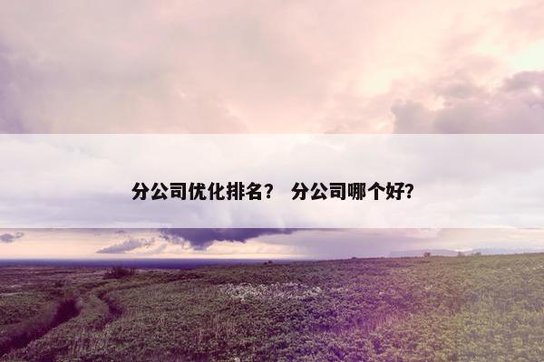 分公司优化排名？ 分公司哪个好？