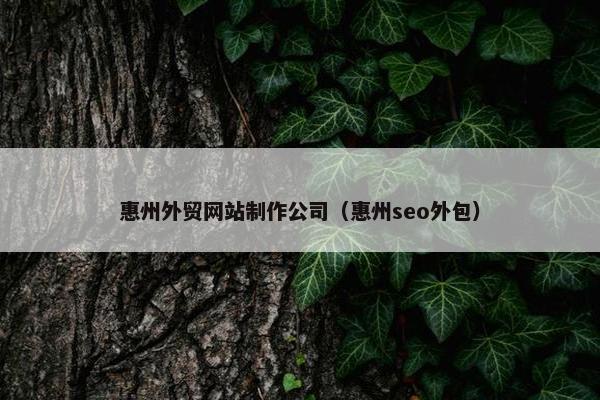 惠州外贸网站制作公司(惠州seo外包)
