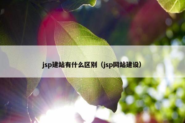 jsp建站有什么区别（jsp网站建设）