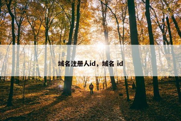 域名注册人id，域名 id