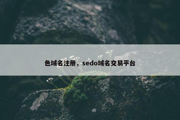 色域名注册，sedo域名交易平台
