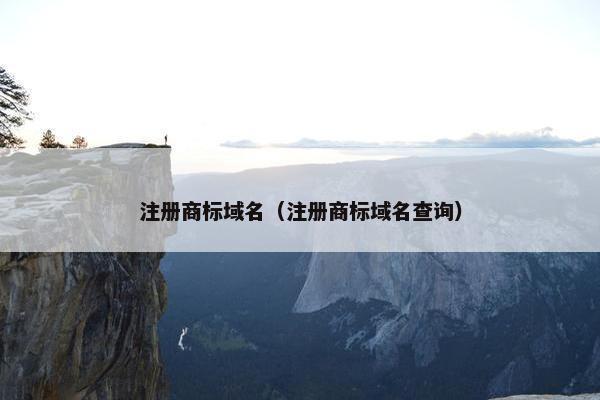 注册商标域名（注册商标域名查询）