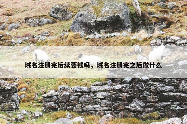 域名注册完后续要钱吗，域名注册完之后做什么