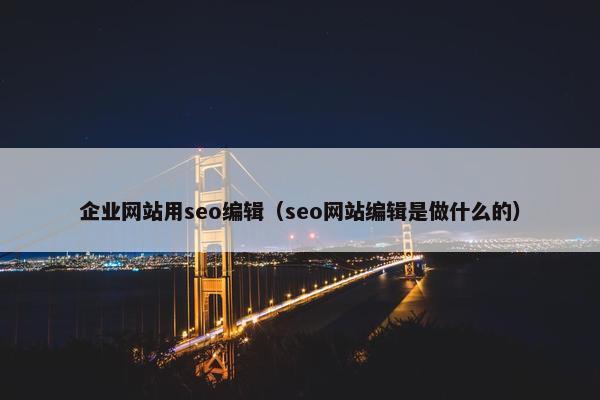企业网站用seo编辑（seo网站编辑是做什么的）