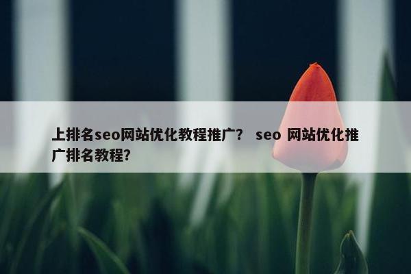 上排名seo网站优化教程推广? seo 网站优化推广排名教程? 上排名seo网站优化教程推广? seo 网站优化推广排名教程?