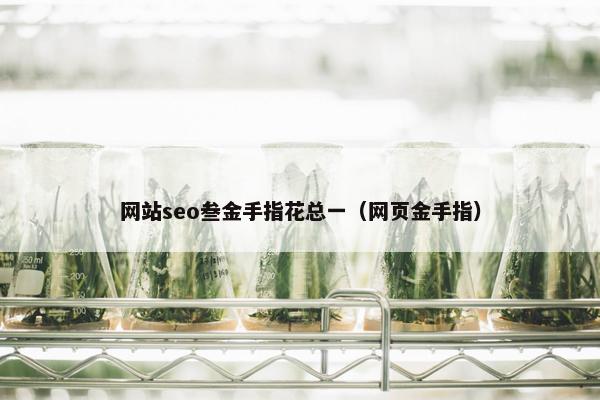 网站seo叁金手指花总一（网页金手指）