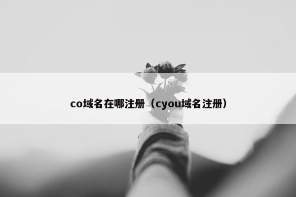 co域名在哪注册（cyou域名注册）