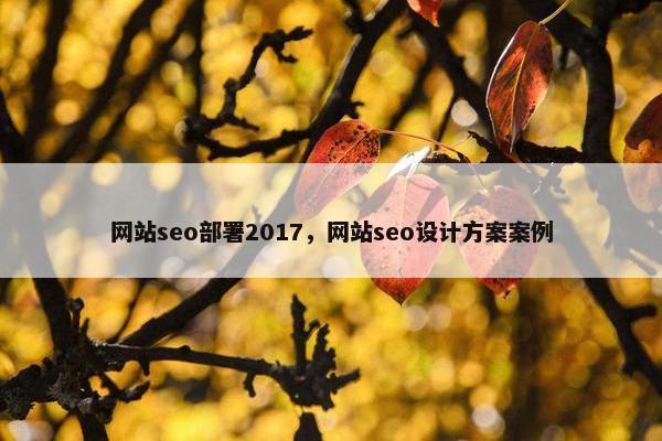 网站seo部署2017，网站seo设计方案案例