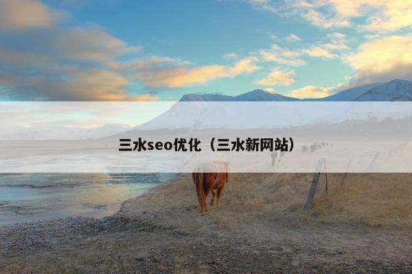 三水seo优化（三水新网站）
