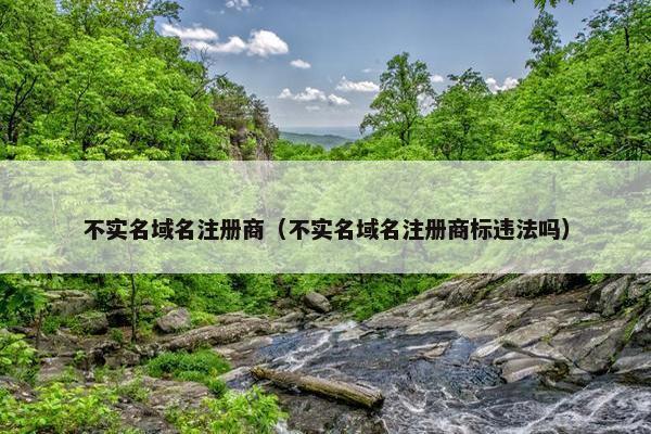 不实名域名注册商（不实名域名注册商标违法吗）