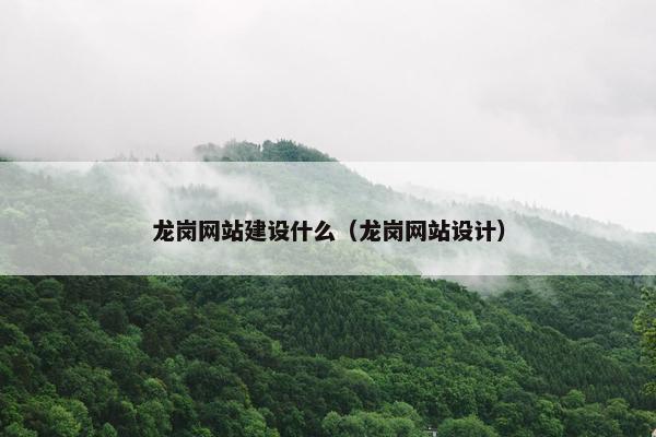 龙岗网站建设什么(龙岗网站设计)