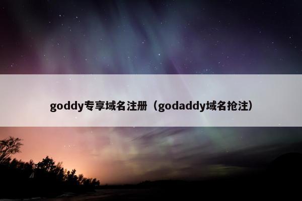 goddy专享域名注册（godaddy域名抢注）