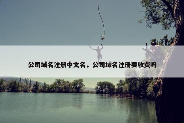 公司域名注册中文名，公司域名注册要收费吗
