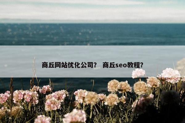 商丘网站优化公司？ 商丘seo教程？