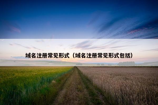 域名注册常见形式（域名注册常见形式包括）