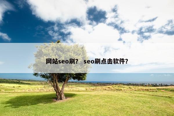 网站seo刷？ seo刷点击软件？