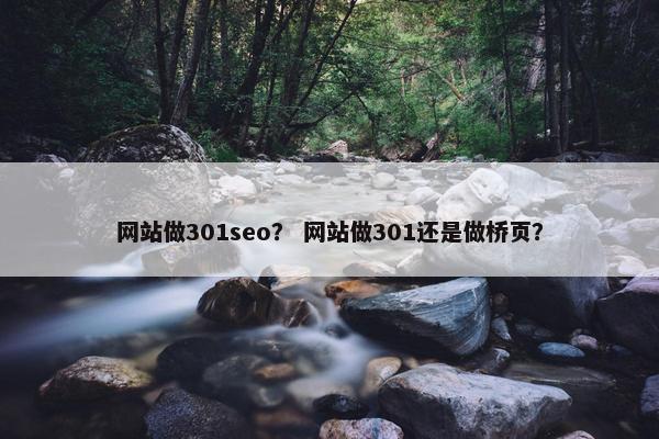 网站做301seo? 网站做301还是做桥页?