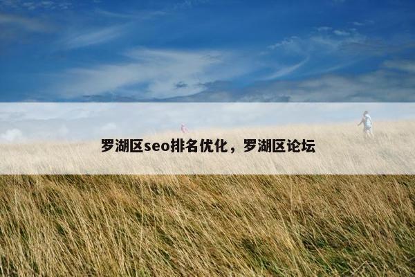 罗湖区seo排名优化,罗湖区论坛