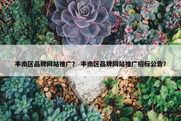 丰南区品牌网站推广? 丰南区品牌网站推广招标公告?