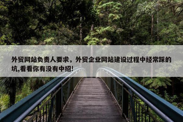 外贸网站负责人要求,外贸企业网站建设过程中经常踩的坑,看看你有没有中招!