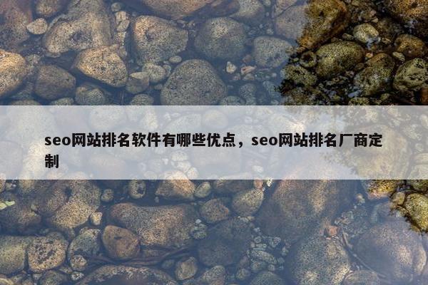 seo网站排名软件有哪些优点,seo网站排名厂商定制