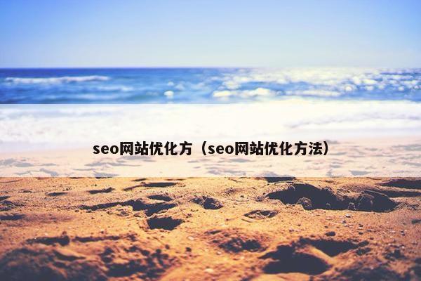 seo网站优化方(seo网站优化方法)