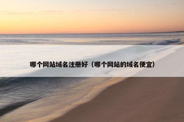 哪个网站域名注册好(哪个网站的域名便宜)