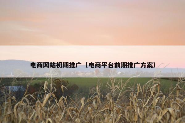 电商网站初期推广(电商平台前期推广方案)