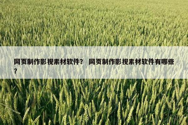网页制作影视素材软件? 网页制作影视素材软件有哪些?